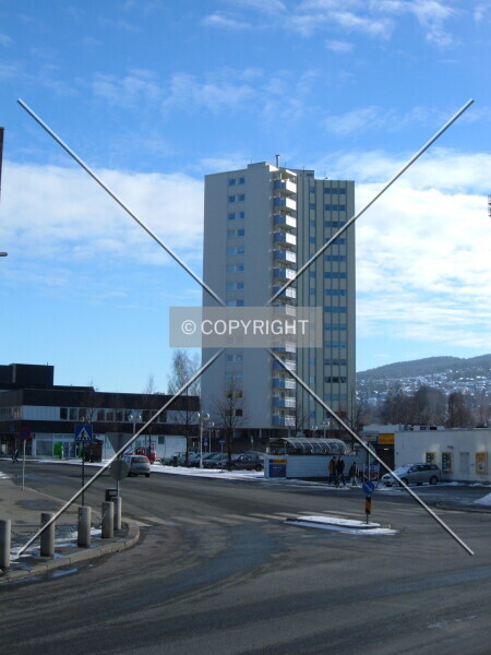 Photo 538-589-382