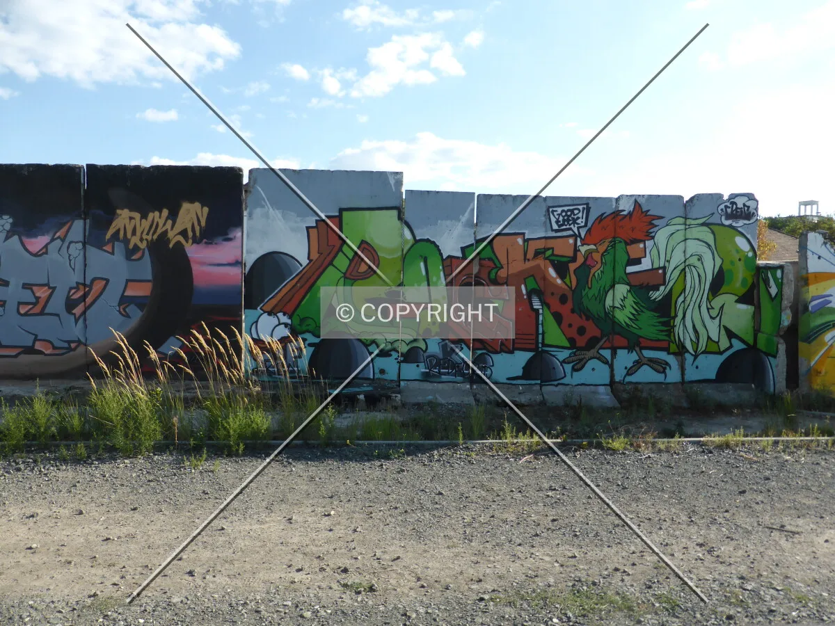 Photo 053-895-074