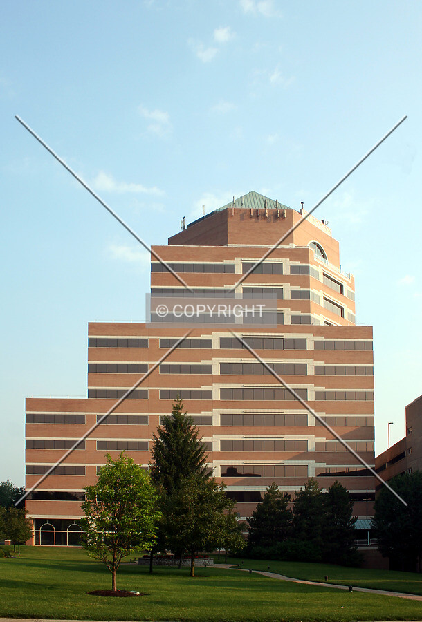 View from the southeast