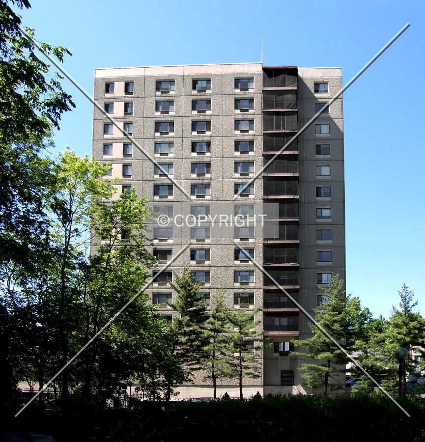 View from the southeast