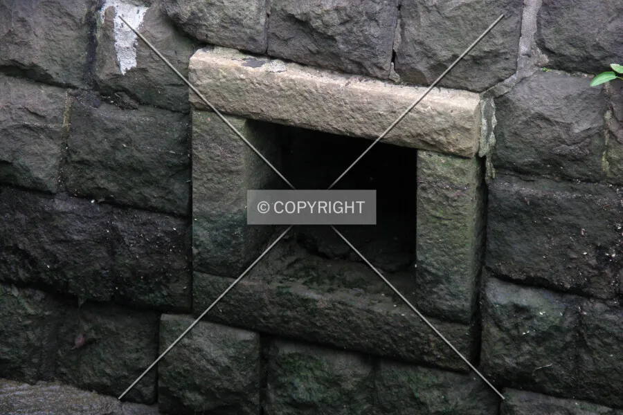 Photo 539-972-964