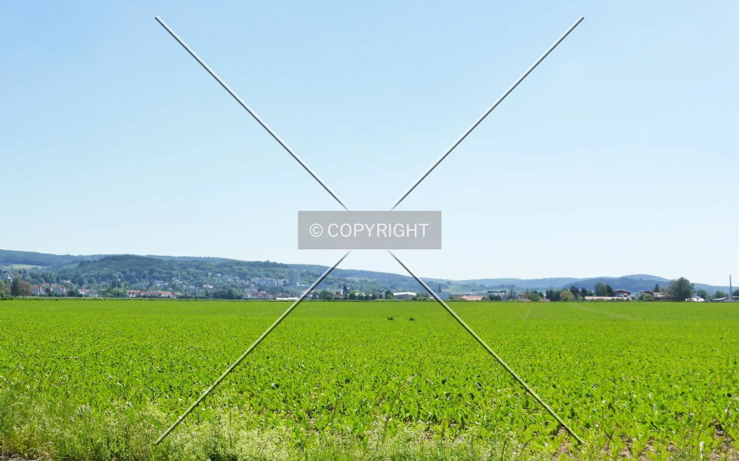 Photo 540-020-747