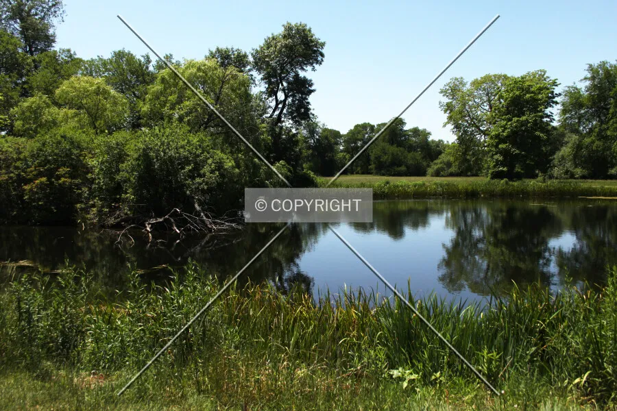 Photo 540-172-389