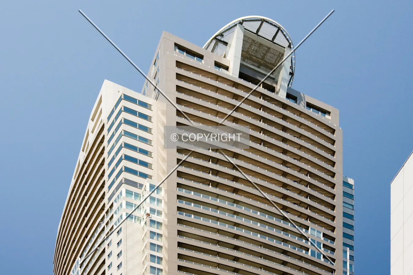 Photo 540-204-289
