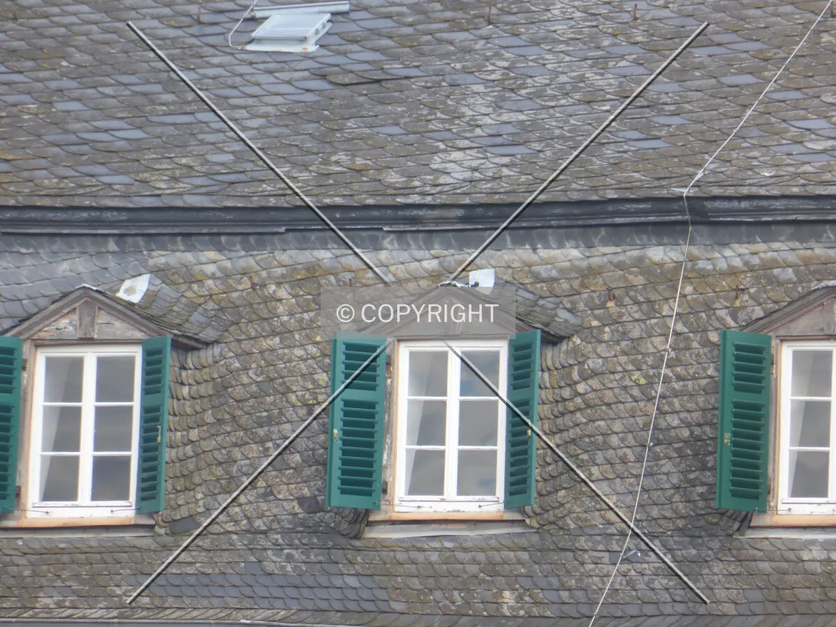 Photo 541-017-902