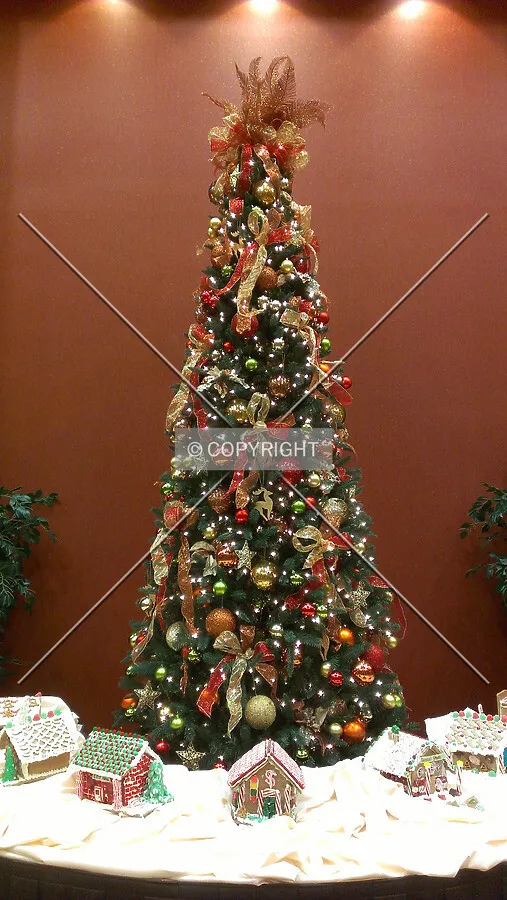 Christmas tree in the lobby