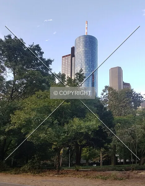 Photo 541-416-432