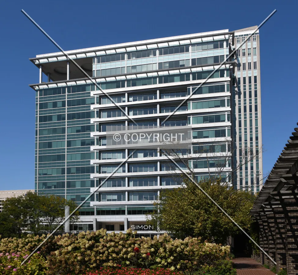 View from the southeast