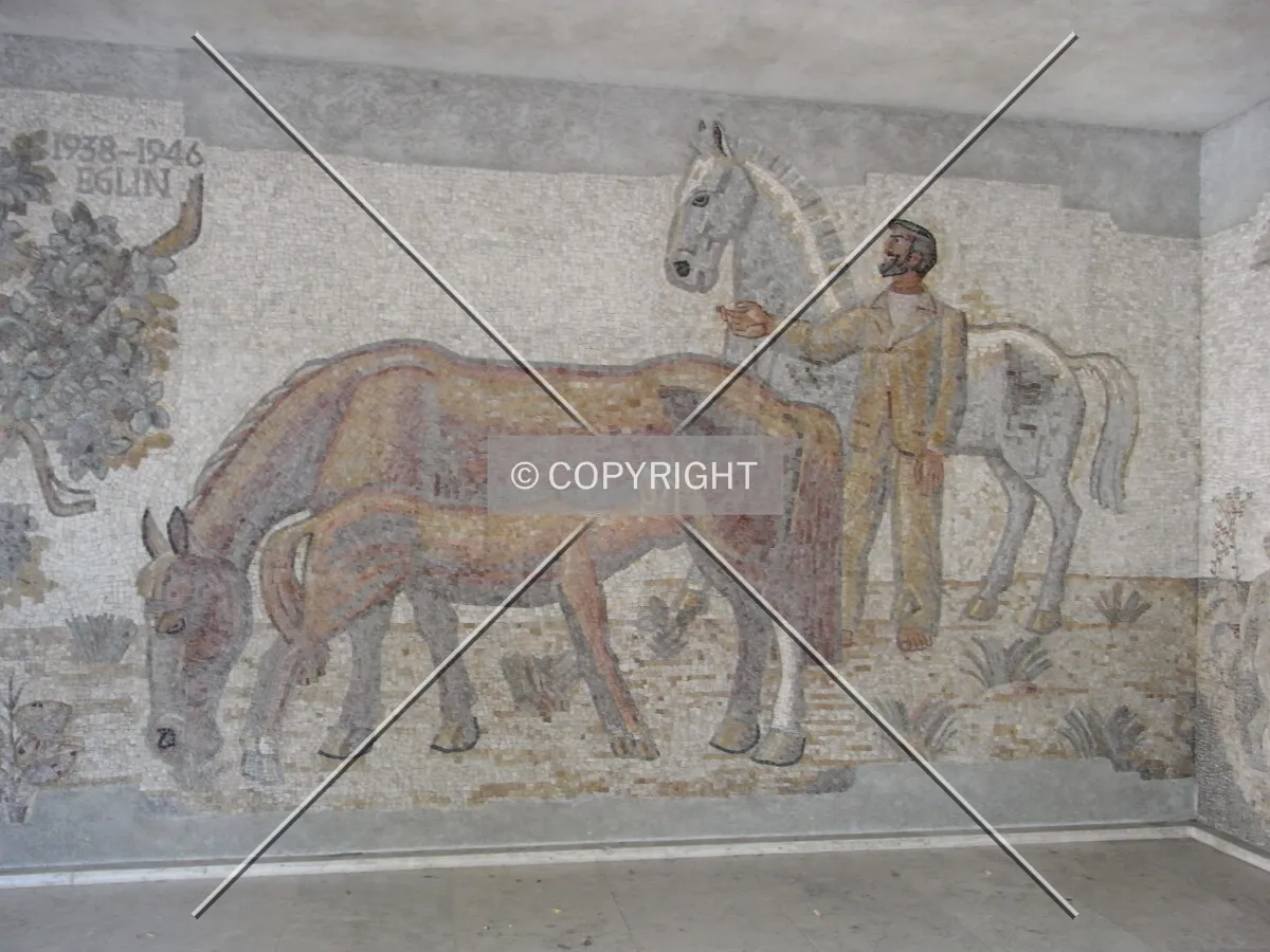 Mosaic on Kollegienhaus Basel