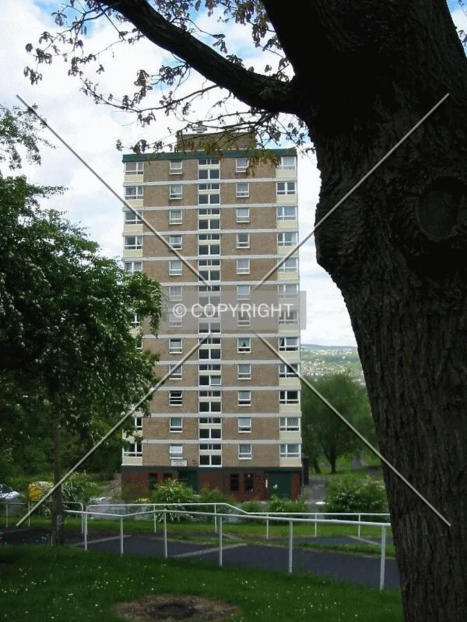 View from a nearby garden