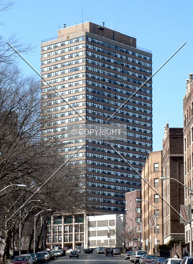 View from the northeast along Elizabeth Avenue