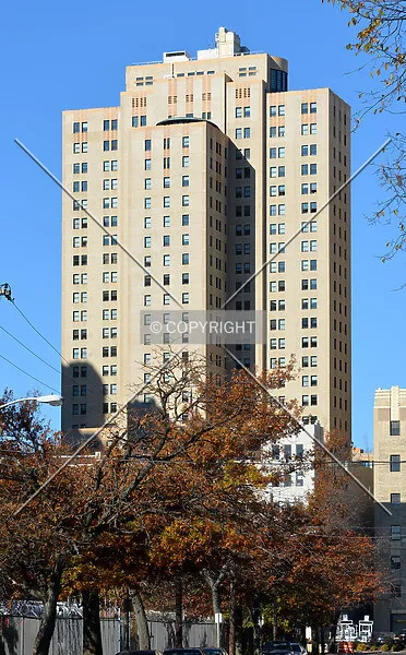 Photo 542-355-323