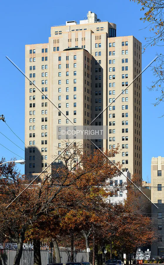 View from the southeast
