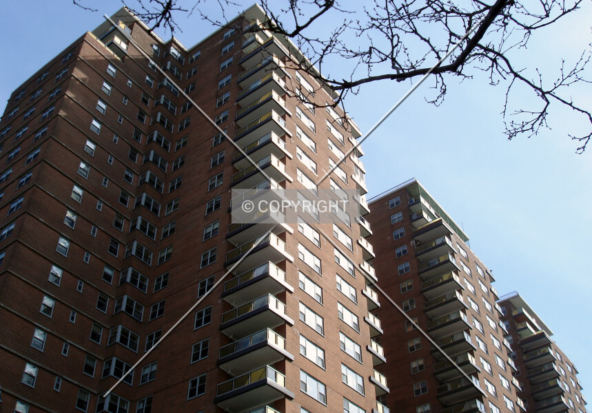 Photo 542-974-179