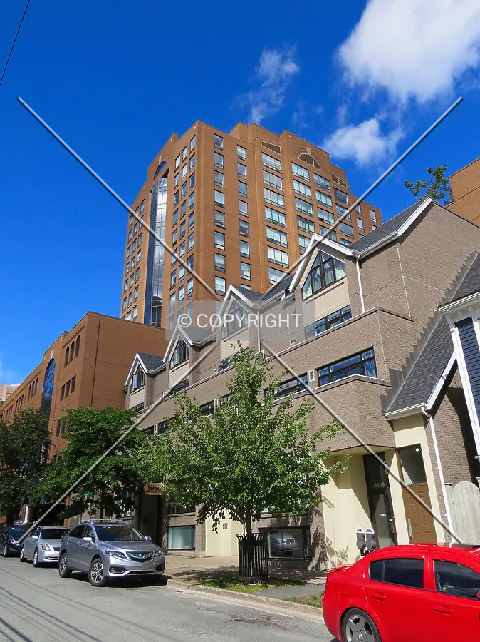 Looking up from Brenton Street