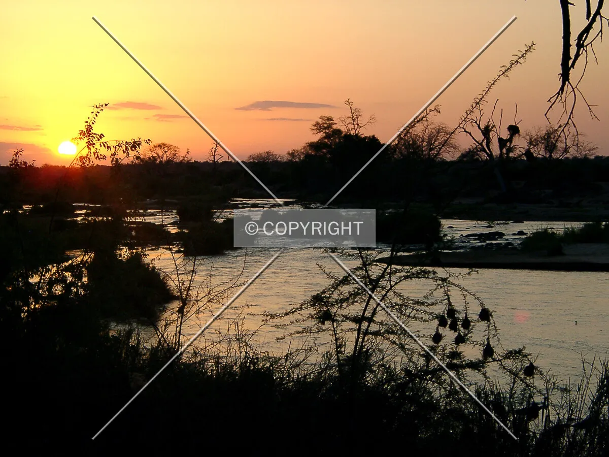 sunset on a river in Africa
