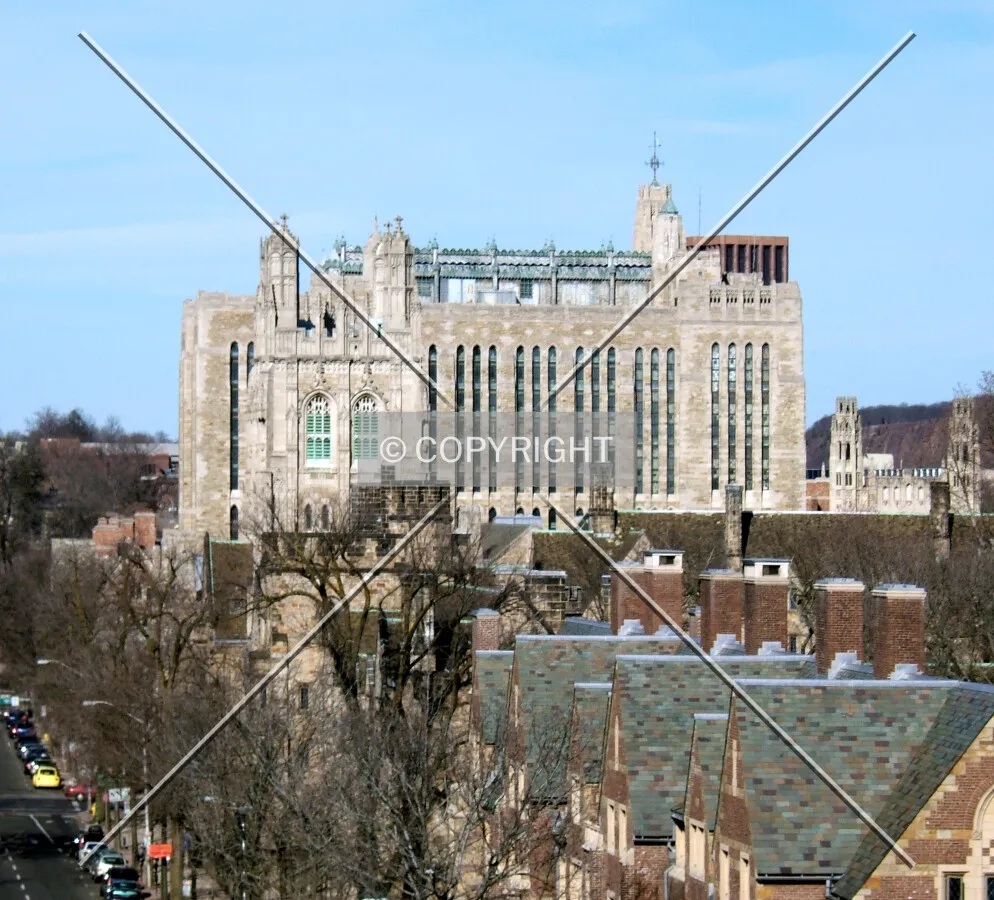 View from the southwest