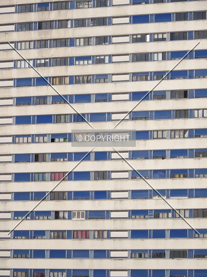 Windows in the east side