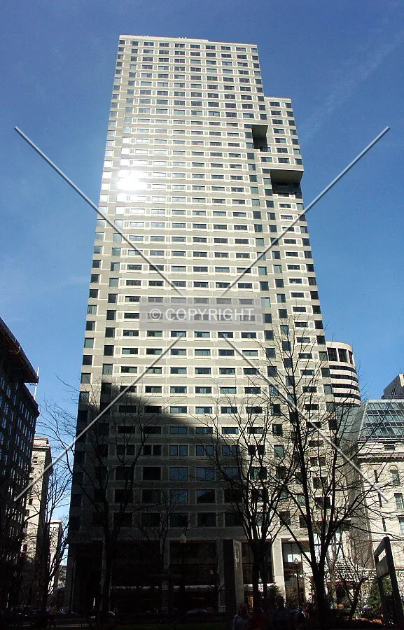 View from the west