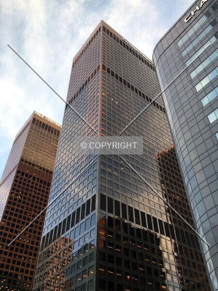 Photo 544-411-446