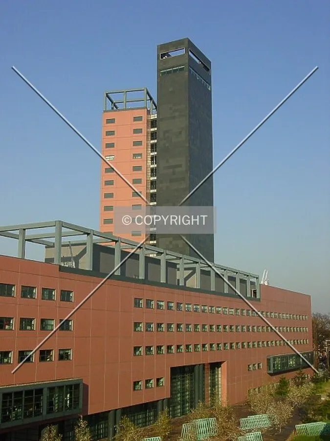View from Tivoli Parking