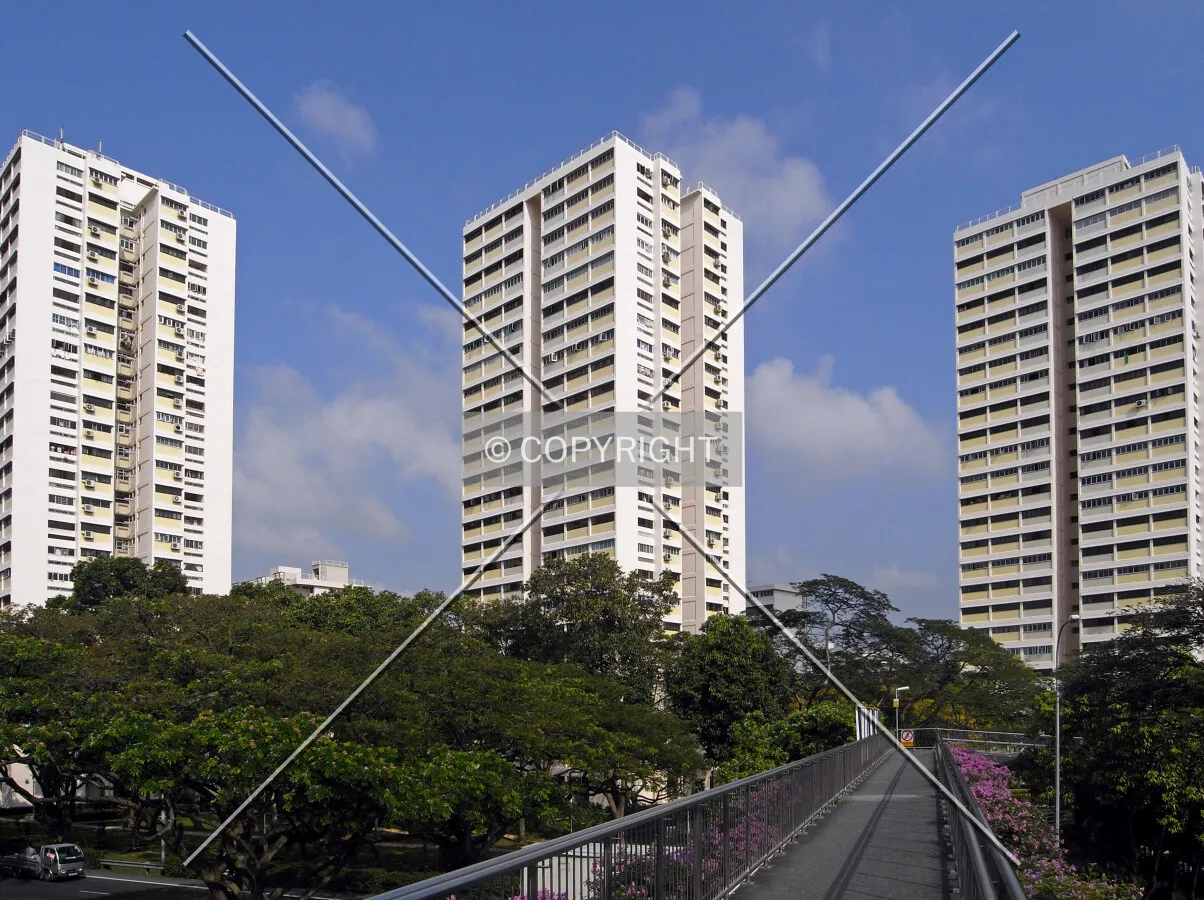 View from the south