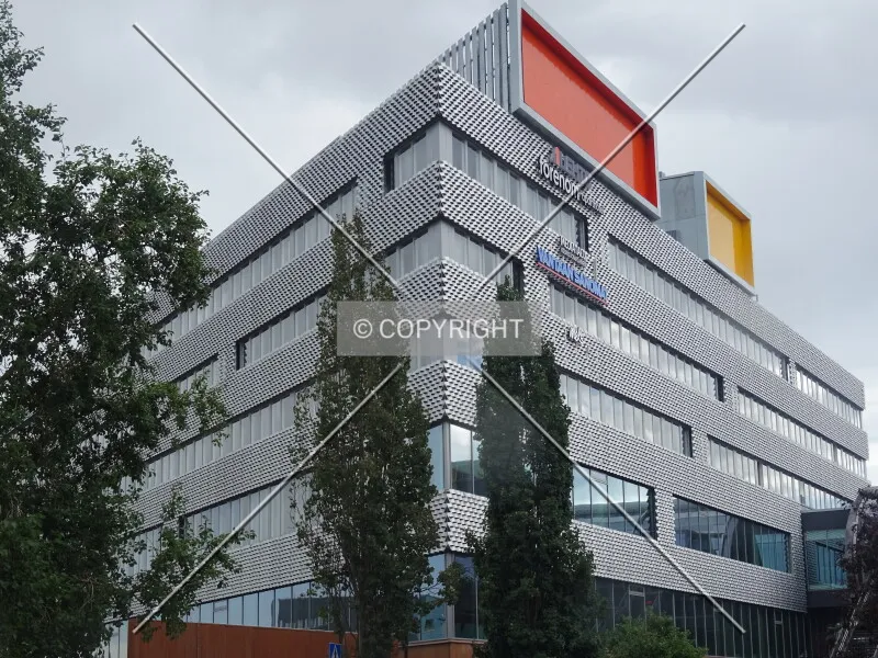 Photo 544-897-385