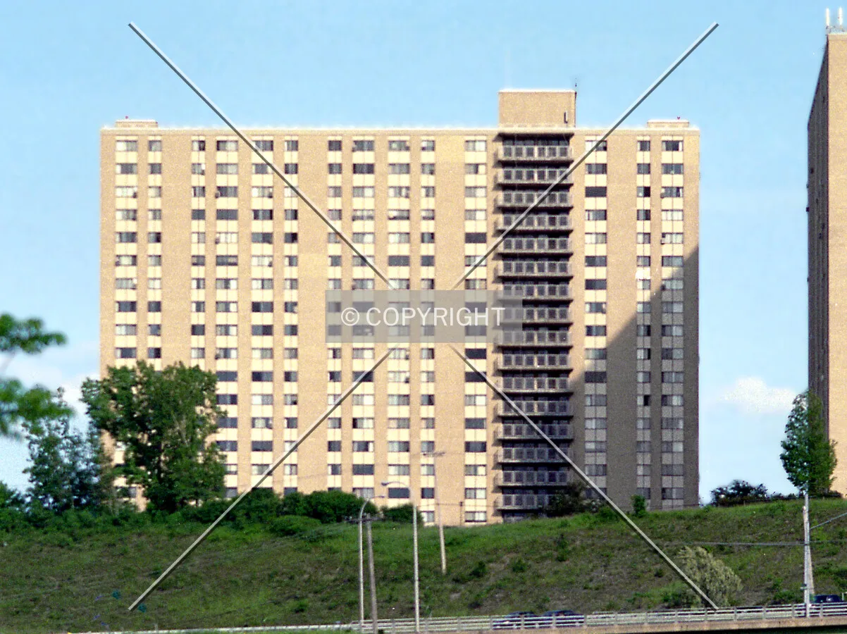 View from the northwest