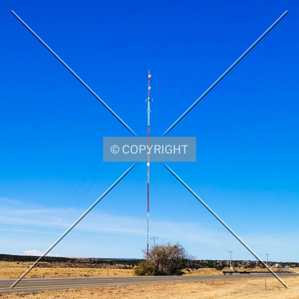 Photo 545-108-442
