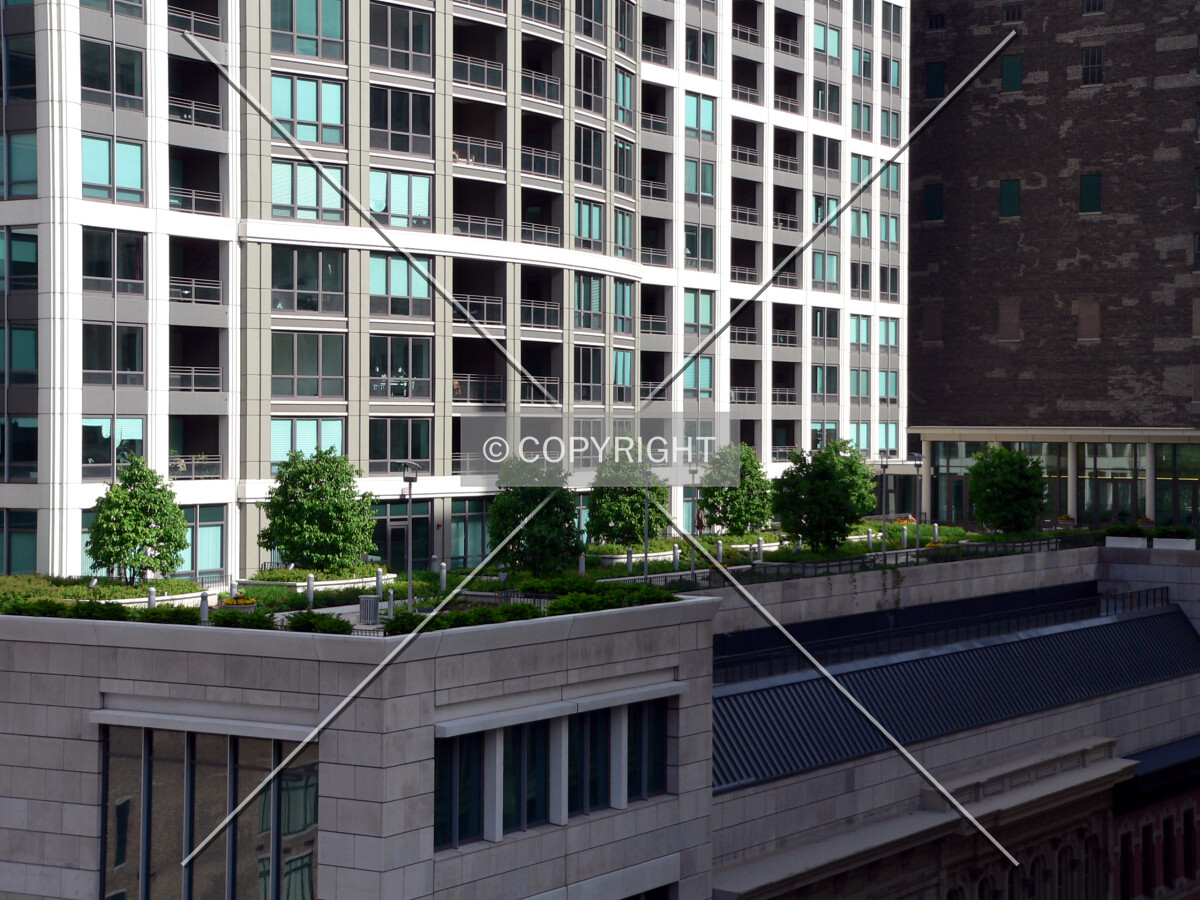 Rooftop garden on the Wabash Avenue side
