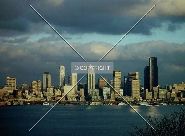 Photo 545-292-897