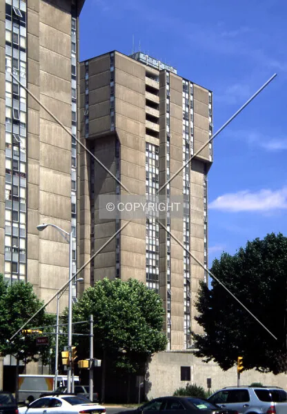 Photo 545-419-790