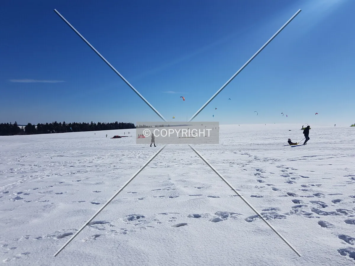 Photo 545-693-347