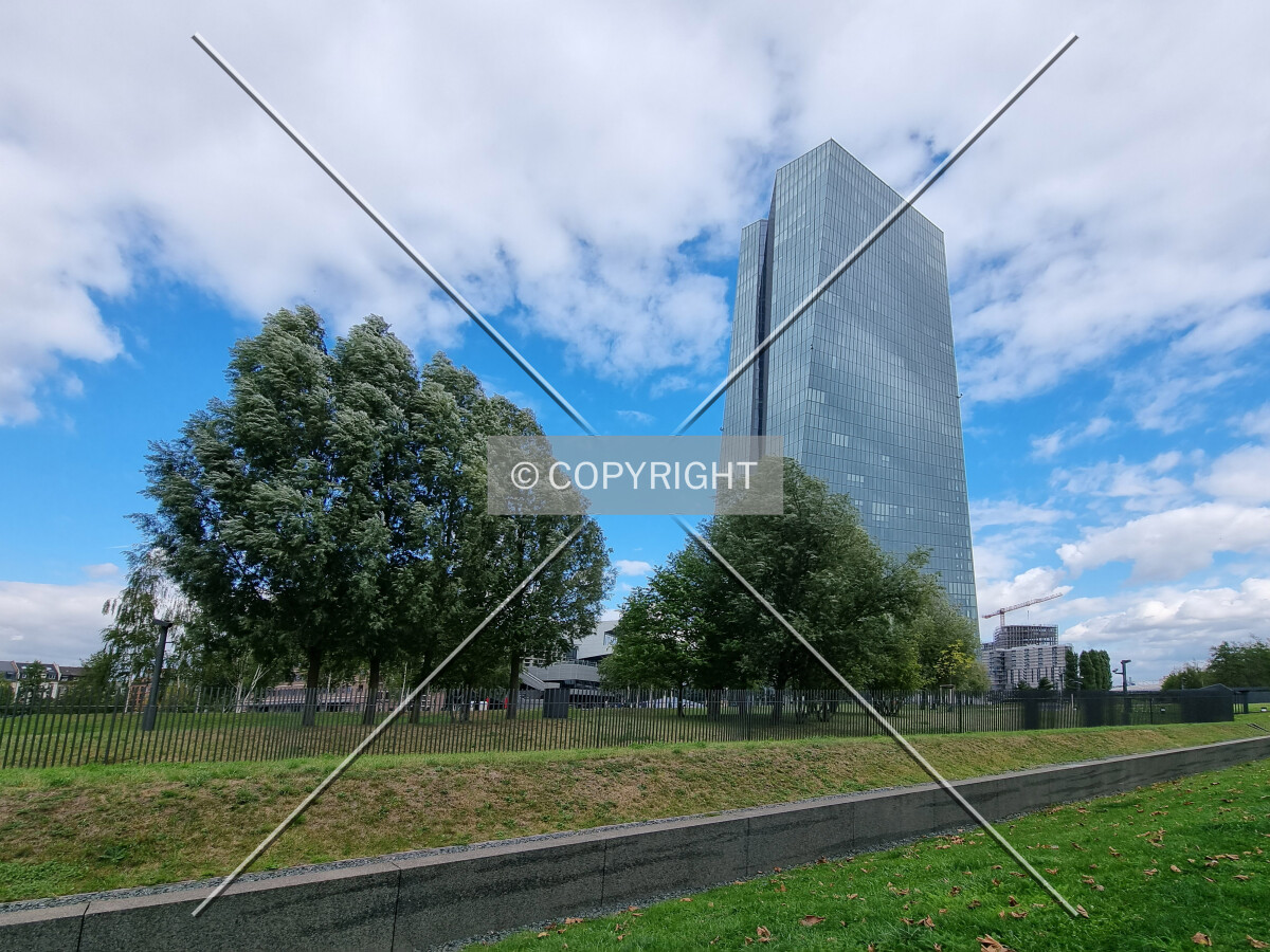 Photo 545-781-778