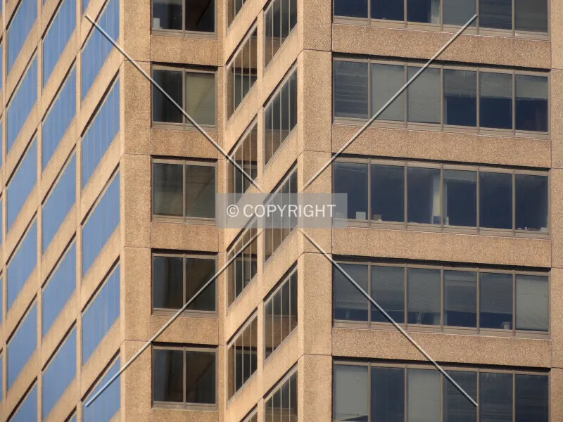 Photo 546-019-491