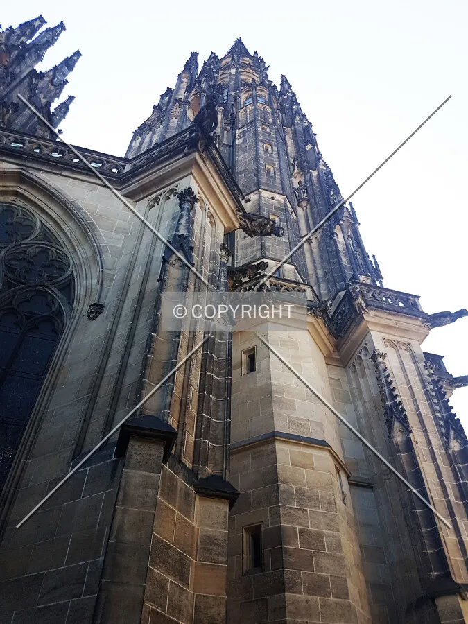 Photo 546-124-032