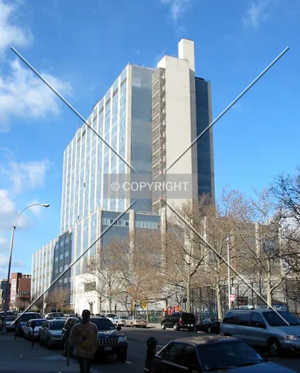 View from the southeast