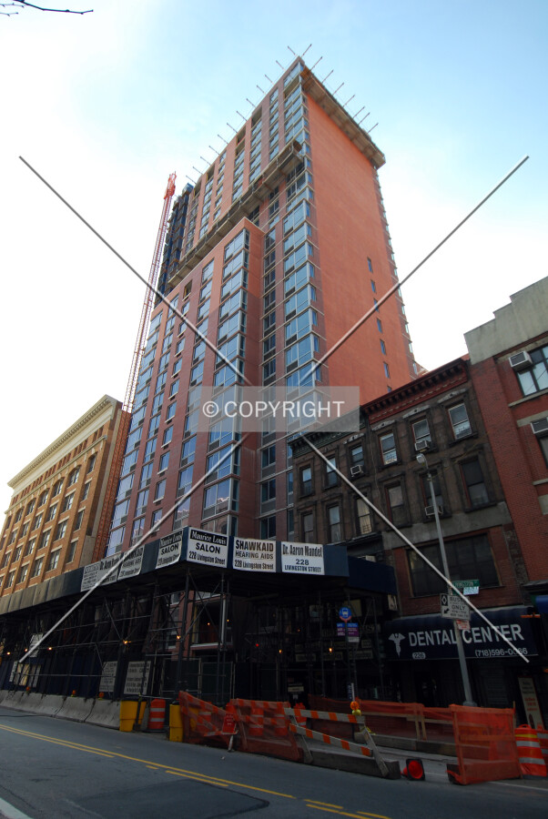 View along Livingston Street