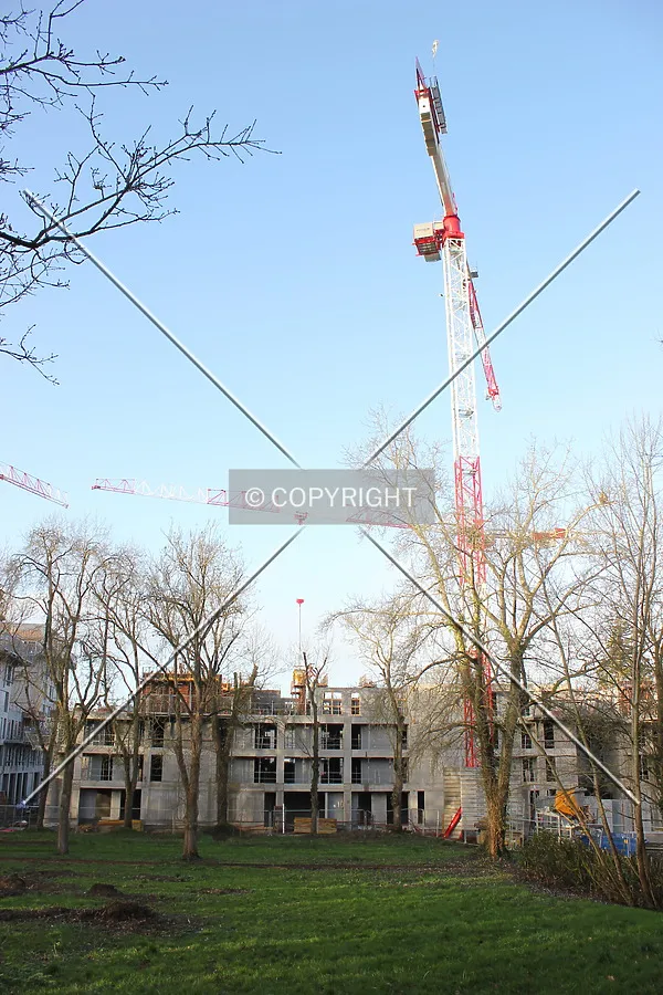 Photo 546-329-071