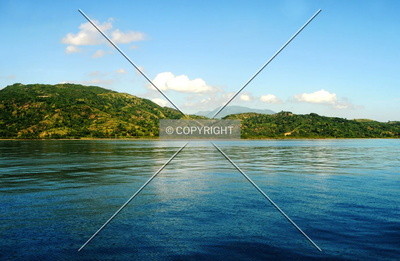 Photo 546-393-434