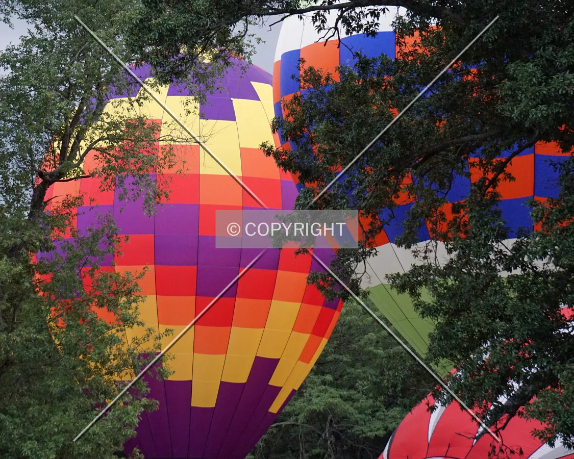 Hot air balloons; August 20, 2016