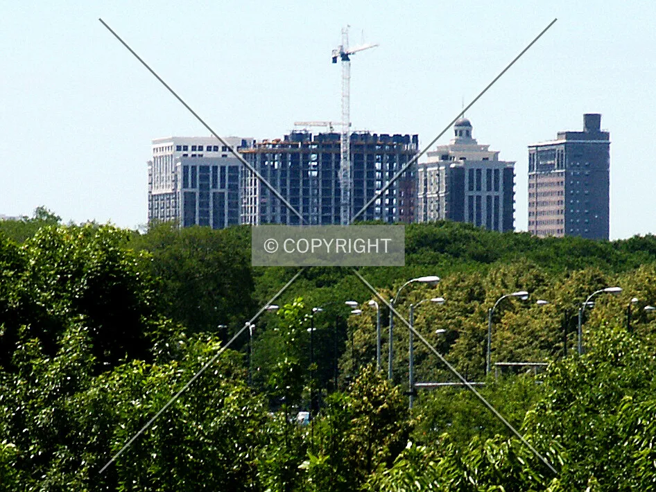 Distant view across the Grant Park treetops