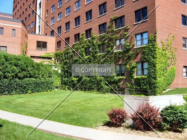 Ivy growing on the base at the southeast corner