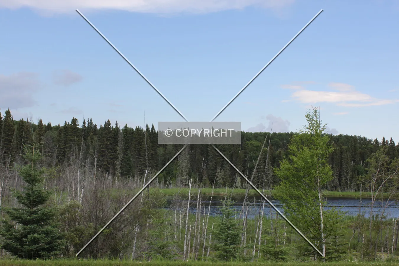 Prince Albert National Park