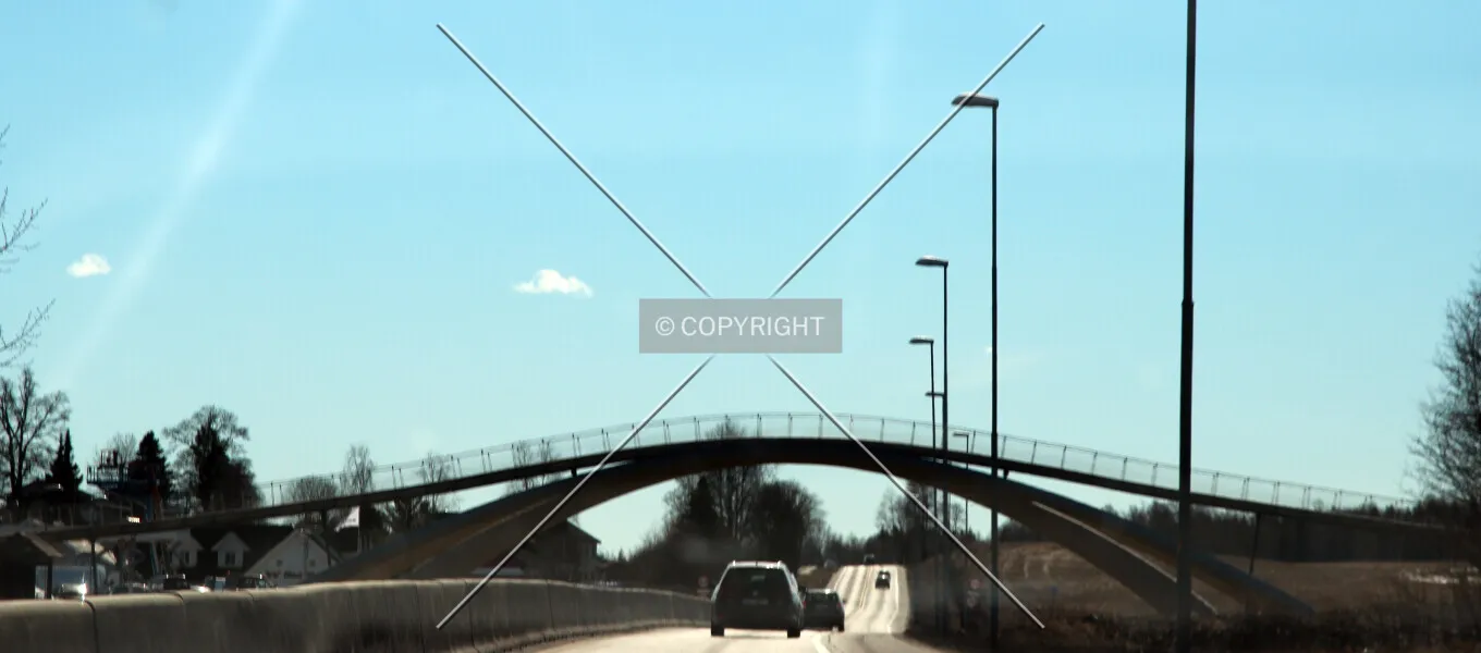 The Leonardo Bridge