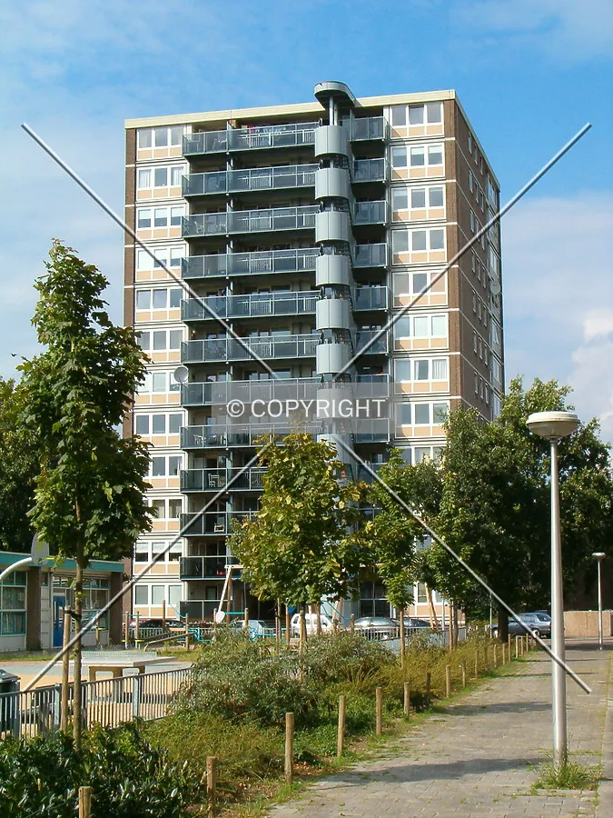 View from Fazantstraat