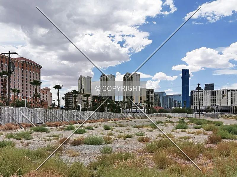 Photo 549-179-841