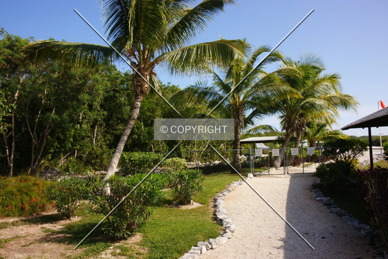 Photo 054-963-386
