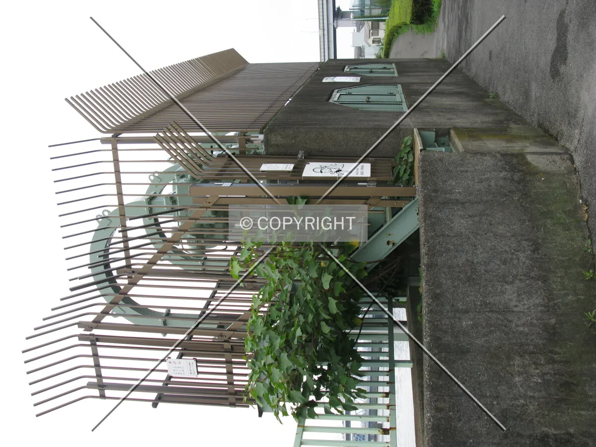 Photo 550-004-243
