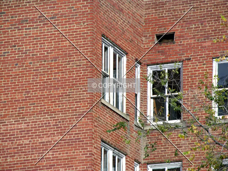 Photo 550-030-795